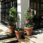 containers soften a corner