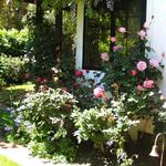 flower border