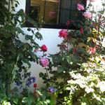 flower border