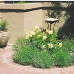 enclosed patio