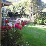 back garden
