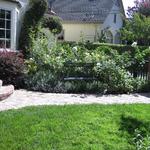 rose garden