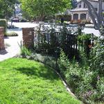 cottage garden
