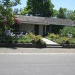 front garden in spring