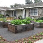 front garden without lawn