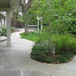 back garden