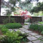 front garden without lawn