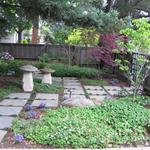front garden without lawn